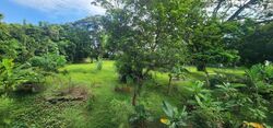 Seletar Garden (D28), Terrace #522846491